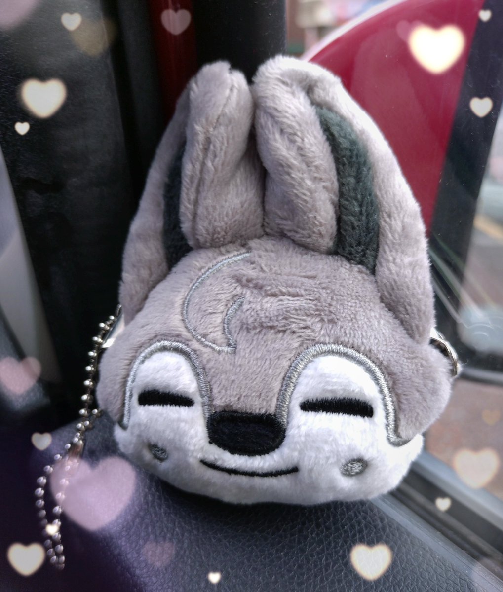 woojure's tweet photo. 月曜日の朝、プレゼント🎁された🐺
ありがとう💖 https://t.co/DBMpii1KYy