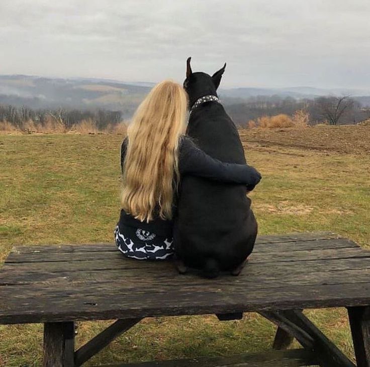 Lucy7dxj's tweet photo. 🐾 When instinct takes over, nature puts on a show. Two beautiful dogs, one unforgettable moment—sometimes you just have to let nature do what it does best. 🐶❤️
 #DogLovers #DogLife #DogsDaily #DogContent #Canine #PetLovers https://t.co/3LmXpeOpga