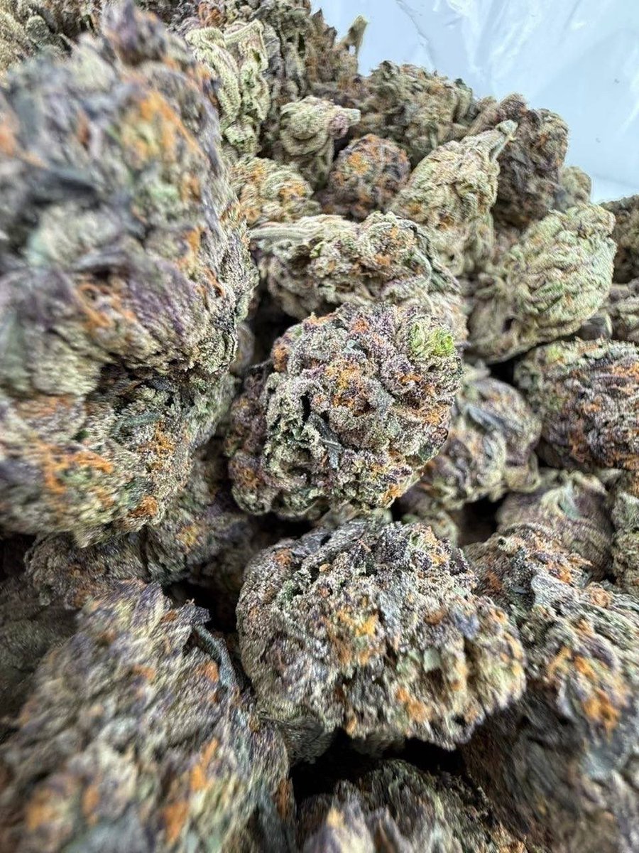 dolphin_disp_'s tweet photo. Candy 41 

$600 https://t.co/RTAAmz04Wd