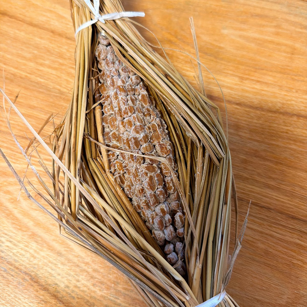 zinbei_info's tweet photo. 水戸でお土産に買った、「天狗納豆」の納豆で「藁苞(わらつと)納豆を食べる」の実績を解除した🌾

風味豊かで歯応えがしっかりあって美味しい！！藁の香りが移る上、藁が適度に水分を吸収するからとのこと　伝統の味わいだ https://t.co/6TnMlf1zSU