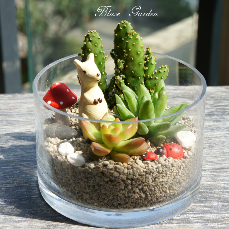 AmitKum80824865's tweet photo. Turn old glass jars into cute planters! Add some pebbles + succulents, instantly spruce up your desk. #ZeroWasteDIY， https://t.co/IJFyTAJpxO