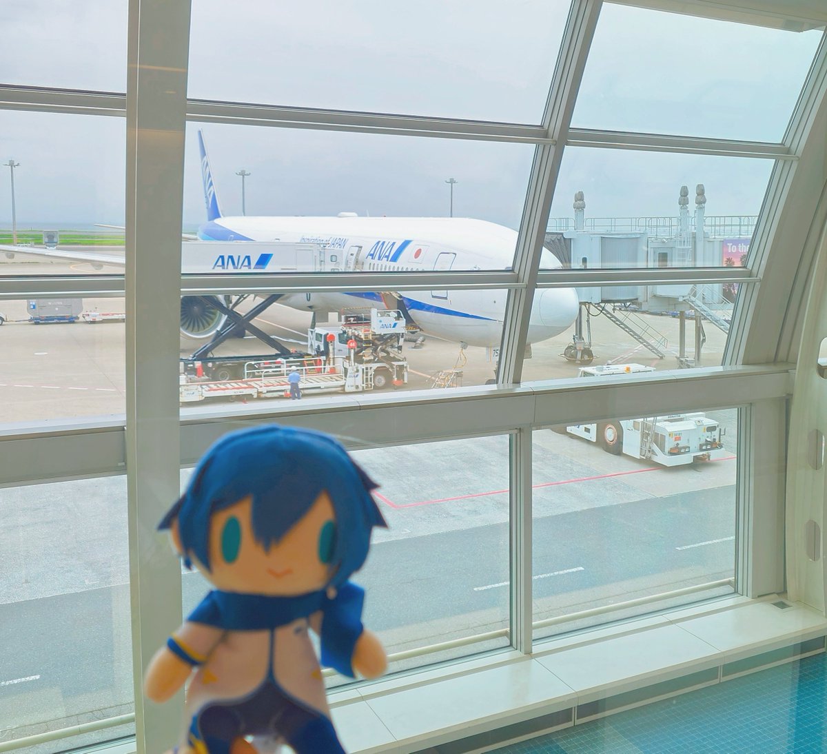 EIN_straycat's tweet photo. 今年のマジミラも最高だった…久しぶりに千秋楽に参戦できたし…お兄さんはかっこよかったし…今から福岡に帰ります。帰りたくない…現実見たくない…
#マジカルミライ2026
#マジカルミライ2026東京 https://t.co/YRL9XTcRAz
