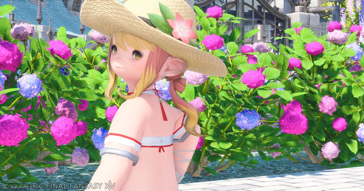 mimiramira2's tweet photo. バイバイ👋ララねぇさん

おかえりミドオス😊 https://t.co/8ZAdwPTZOA