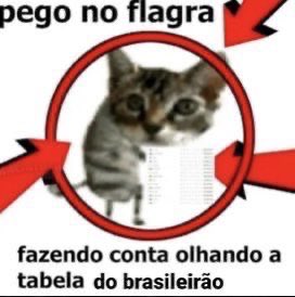 flwmwng's tweet photo. to assim https://t.co/6vlSbV0ouJ