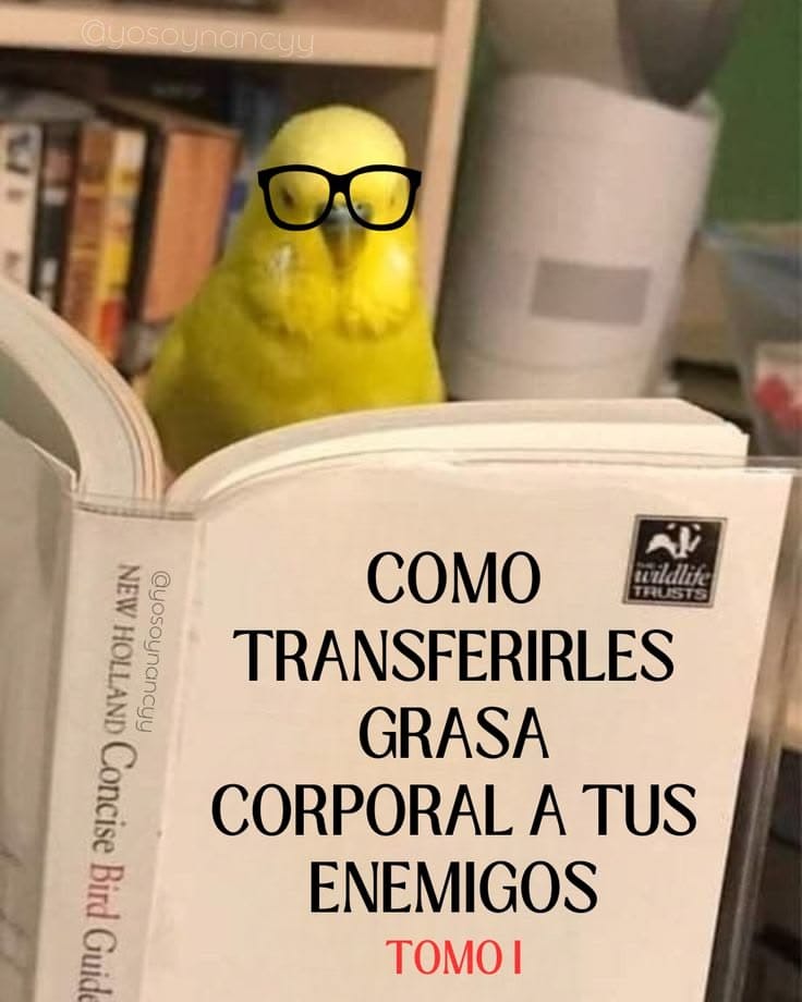 MsCiencia2's tweet photo. 🤣 https://t.co/1pvr6LkSTw