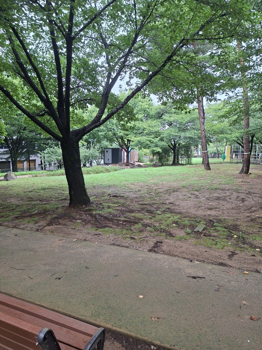 gur392451_II's tweet photo. 공원에서 찍은 잔디밭과 나무들, 꽃. 🌿 🌳 🌺 https://t.co/p4wzK4GDtV