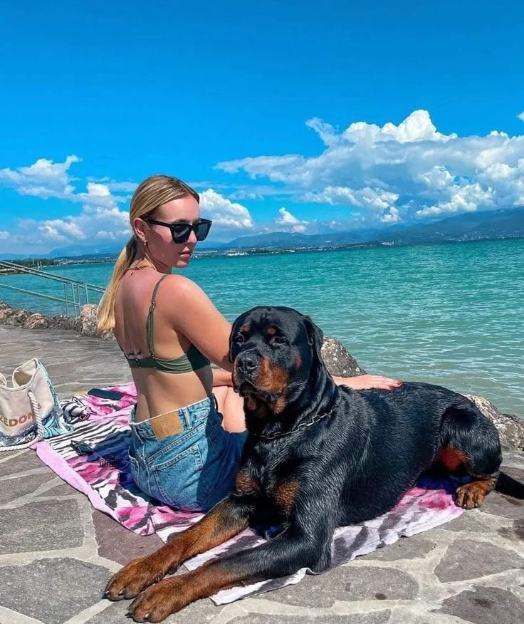 mariaJames0hbh's tweet photo. This is what I can show.
What happens when he knots me and keeps pumping until I’m overflowing stays private.
Link in bio
#dogs #K9 #USAD
👇👇
 https://t.co/zyNIRTWBRJ https://t.co/vPygB1Go8S