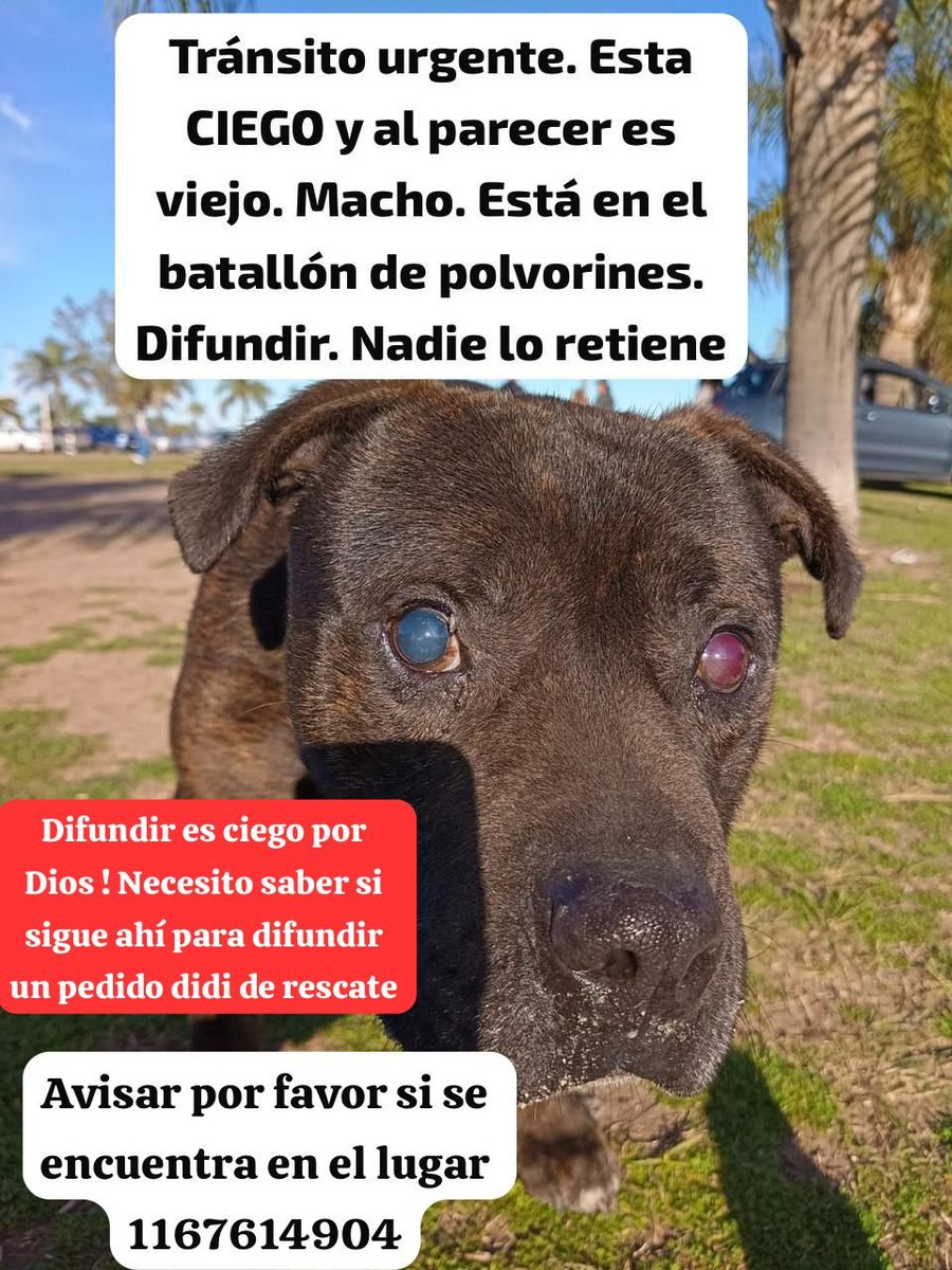 patripeyrou's tweet photo. Rt
Difundimos https://t.co/8LqvSgcqsg
