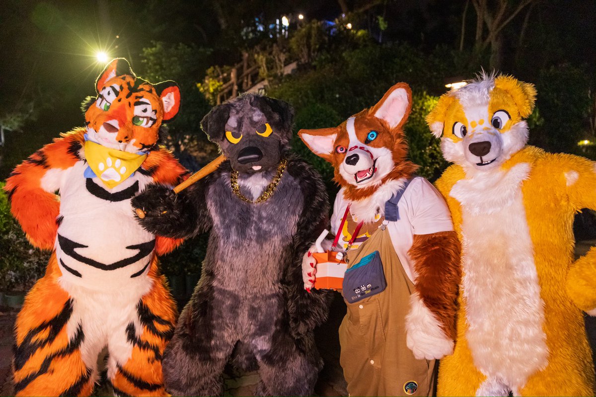 shaobing_tiger's tweet photo. 看在我們這麼可愛的份上，乖乖交出你的錢包吧！

Look at how cute we are! Now, hand over your wallet like a good little citizen. 

🐶：@Badogbagel 、@crosswhitekiba 
🐺：@typhone2024 
📷：@jason21716 
🧵🪡✂️：@KemoTianou 

#FursuitEveryday https://t.co/HN05xv4LwC