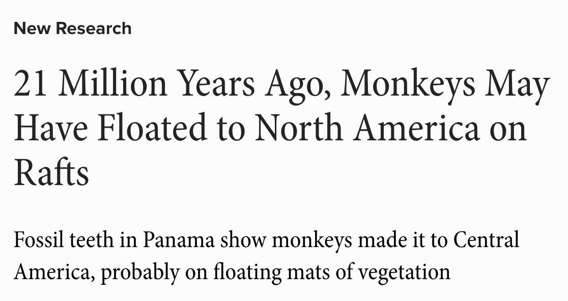 StatisticUrban's tweet photo. This is the kind of "raft" scientists mean when they say animals floated across oceans, btw.

They're huge mats of floating vegetation, and are responsible for the spread of monkeys, iguanas, and many, many other animal and plant species around the world. https://t.co/L58NZhKbn2