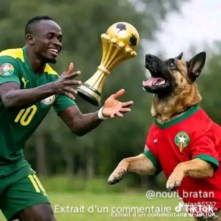 shyouba's tweet photo. @Chute74063 @2MInteractive تتكلم على هذا 👇 ياك ! 🤣🤣🤣 https://t.co/RpHuPYJcJS