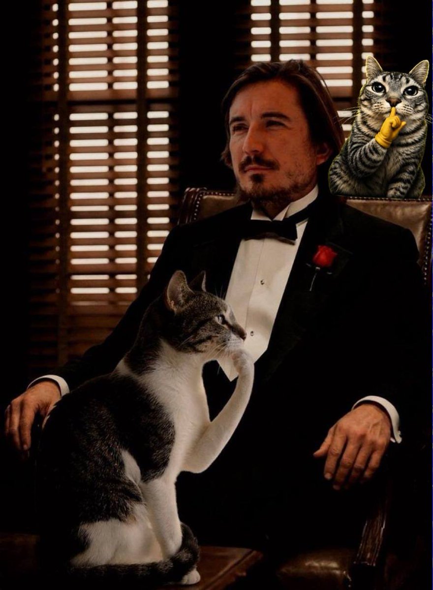shhushingCat's tweet photo. Silently earning $HMM with $SHH https://t.co/ocZ12eTILe