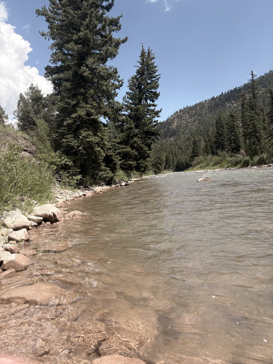bluefishorange's tweet photo. I mean…c’mon… #mountainlife
#gypsy #AmericanLife #montana https://t.co/MmeQl7gS6z
