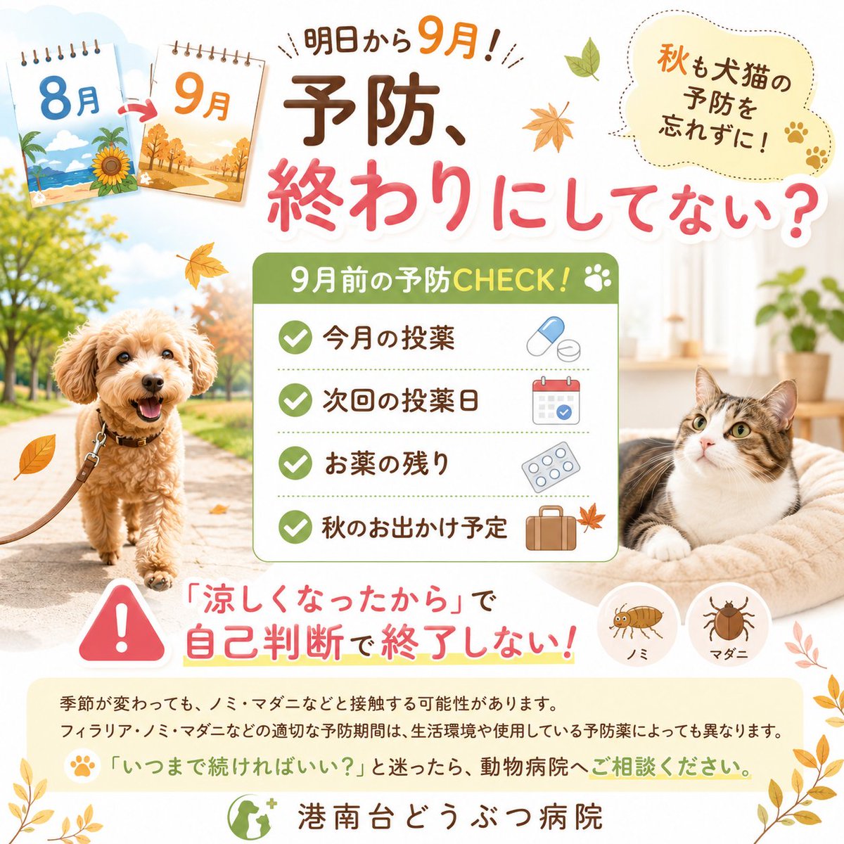 figaro5195's tweet photo. 昨日のサライ、口ずさみましたか？
8月も今日で終わりですが

さっそく明日から9月です！ https://t.co/koc6lwJ91b