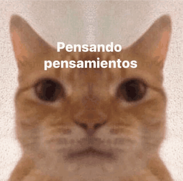 duran_syd's tweet photo. Dandole credito @El_Marino28 por esta idea, que tal si en vez de una nueva temporada, porque no ONC hace una novela visual tipo juego? https://t.co/C0MNW5JNuu