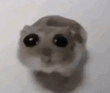 ROSARGENTEA's tweet photo. ᅠᅠ‍
I'm  guessing  this  isn't  interesting  for  you  and  I'm  sorry  for  it  ,  uncle  .
Perhaps  a  good  hug  will  do  for  the  inconvenience  .
ᅠᅠ‍ https://t.co/p2NUTswN8o