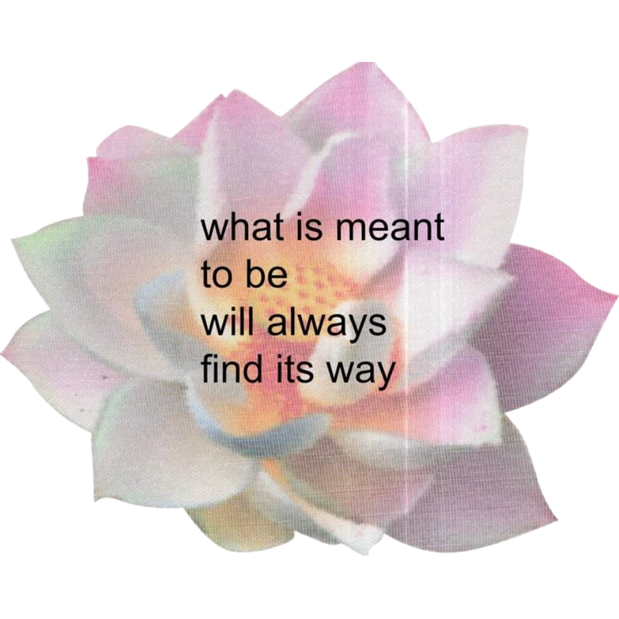marvius_studio's tweet photo. kindly rt before use ♥️

📁 png : lotus 🪷 

“ only for personal use 👈🏻

( #แจกไฟล์png #png #giveaway #แจกpng ) https://t.co/w8zTyCr05i