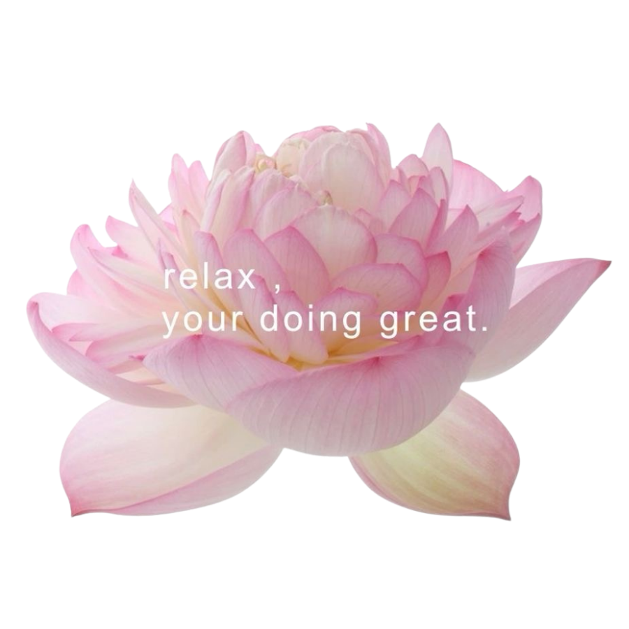 marvius_studio's tweet photo. kindly rt before use ♥️

📁 png : lotus 🪷 

“ only for personal use 👈🏻

( #แจกไฟล์png #png #giveaway #แจกpng ) https://t.co/w8zTyCr05i
