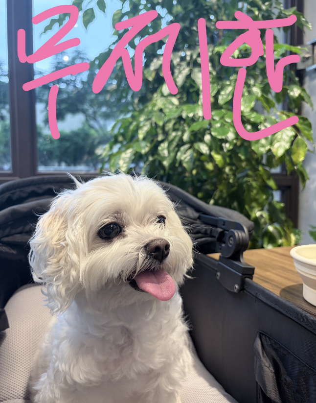 winneravgwin's tweet photo. 님들 챗GPT 구독자거나 고려중이면 필독🥲
이거 해외에서 난리난 '사용량 무제한 버그급ㅁㅊ 툴'이라는데요!

https://t.co/GgvIbK0Q3x

이 도구는 Codex 화면은 그대로 두고, 
실제 답변은 ChatGPT 웹사이트에서 받아옵니다. 

Codex와 ChatGPT 웹을 이어주는 브릿지인데, 

자체 앱이 안에서 ➡️ 웹 브라우저를 직접 켜고 
로그인된 ChatGPT로 작업을 넘기는 방식으로

자체 AI 에이전트 앱 코덱스가 내장 브라우저를 직접 제어

그래서 기존 커스텀 MCP 방식보다 세션이 안정적이고, 
작업 컨텍스트도 비교적 자연스럽게 넘어간다고함.

Codex Max($200) 한도 구독했다면, 
주간 사용량 제한을 의식하지 않고 무제한에 가깝게 쓸 수 있음!
