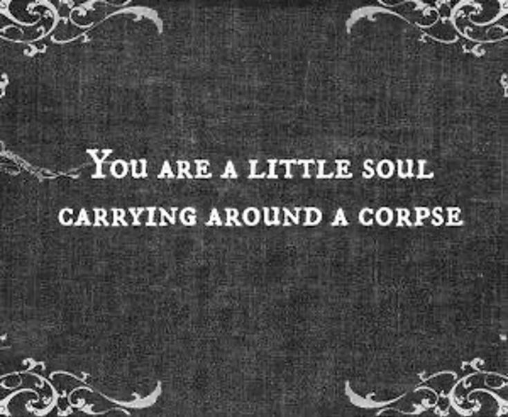 deepdarkvibe's tweet photo. https://t.co/9eJuTpYFOM
