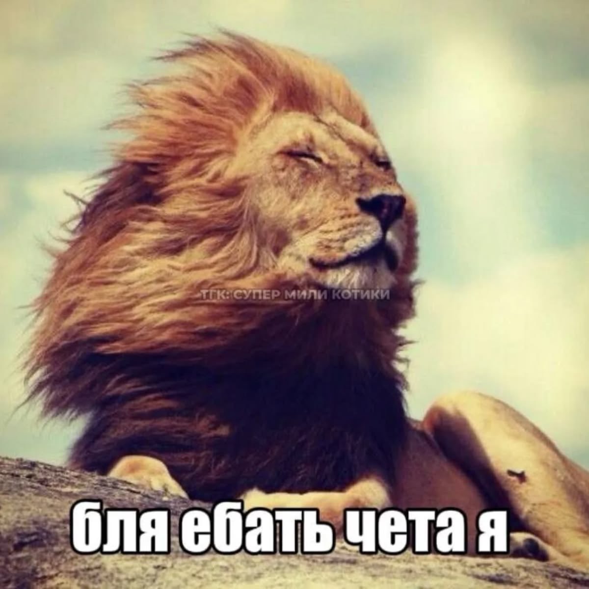 ameliiinni's tweet photo. дайте совет как найти свой макияж и стиль https://t.co/i5saQeehQV