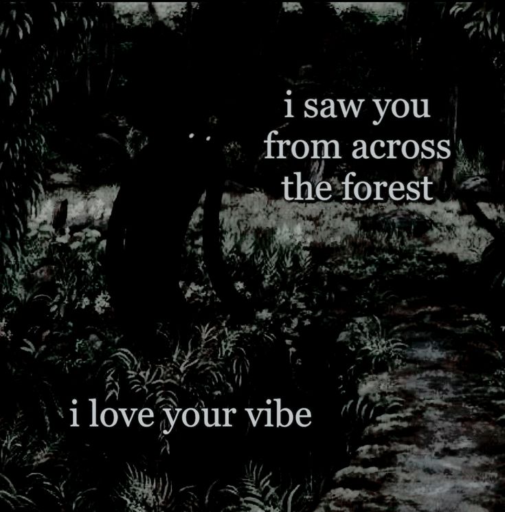 darkdreamvibe tweet picture