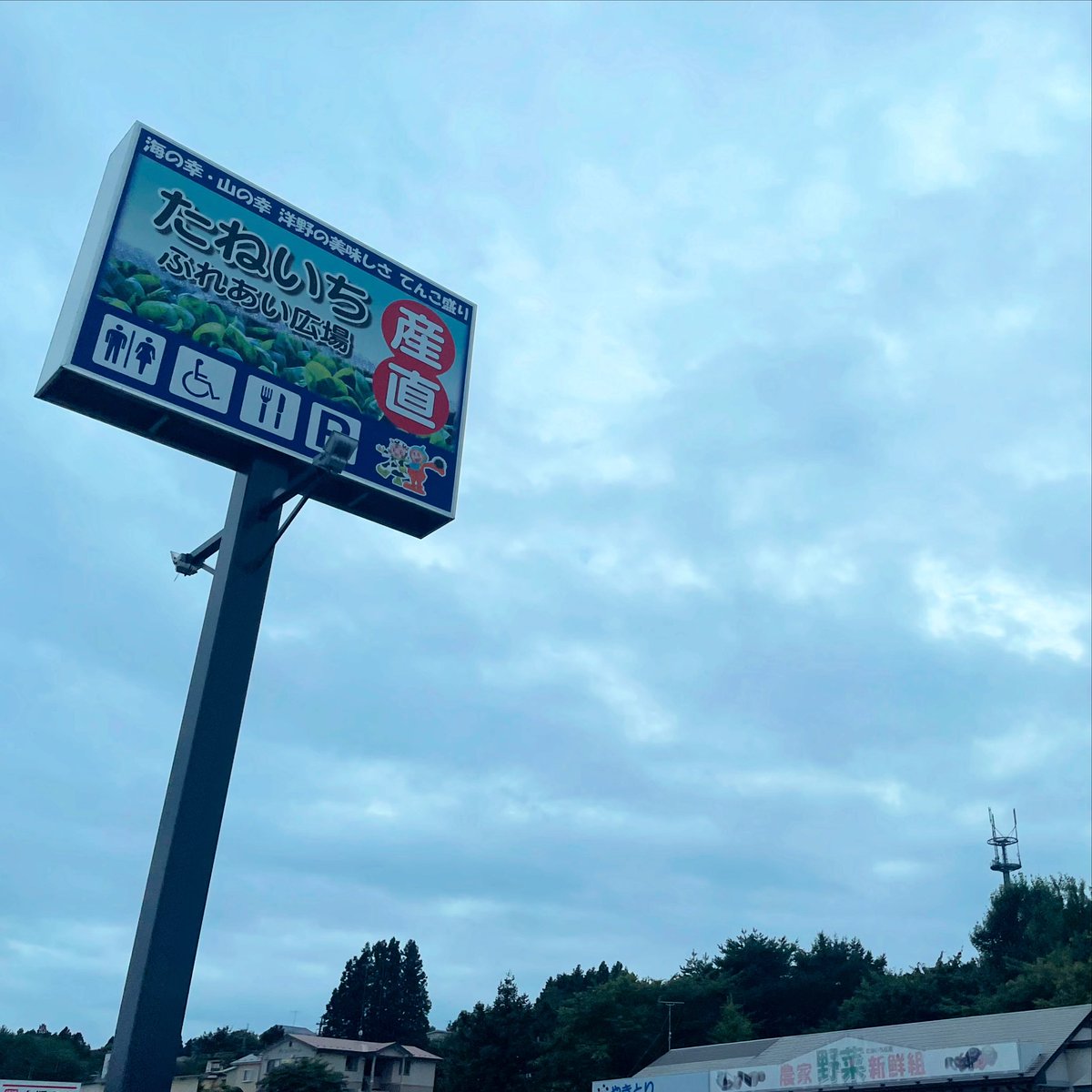 hironononakama's tweet photo. たねいち産直ふれあい広場さん
お問合せいただいていたキッズサイズTシャツ、新デザインで少し追加です🙌
モグ顔のポロシャツも登場しました！
お立ち寄り、お待ちしています😆

【グッズお取扱店】
たねいち産直ふれあい広場
岩手県九戸郡洋野町種市32-95-1
TEL：0194-65-3910
営業時間：9時〜18時 https://t.co/KLaxwZJmFA