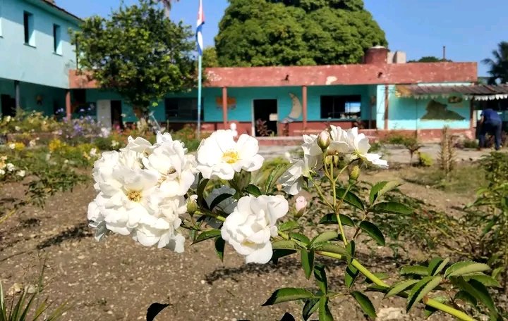 YanetsyTerry's tweet photo. #ProvinciaGranma. A cada paso limpieza, orden, belleza, entrega y resiliencia en nuestras instituciones educativas, vísperas del inicio del Curso Escolar. #CubaNoSeRinde. @PartidoPCC @AsambleaCuba @PresidenciaCuba @GobiernoCuba @GobiernoGranma @BarceloOrt92635 @InesMChapman https://t.co/rJQOpbx4Qh