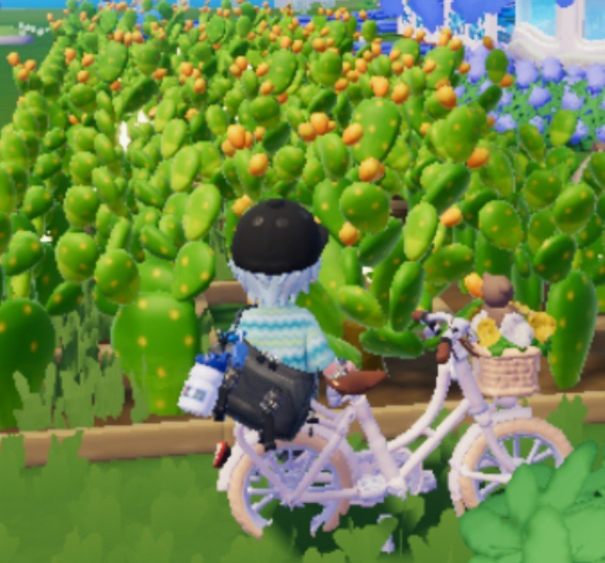e3cql's tweet photo. マイタウンじゃないのに１時間近く一人でした(泣)
一人悲しくサボテン農家してました(泣)
＃ハートピア https://t.co/y9pmC828aH