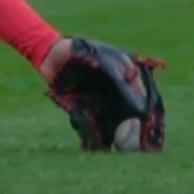 A_Ella3's tweet photo. @Jared_Carrabis https://t.co/wZEBQULEHm