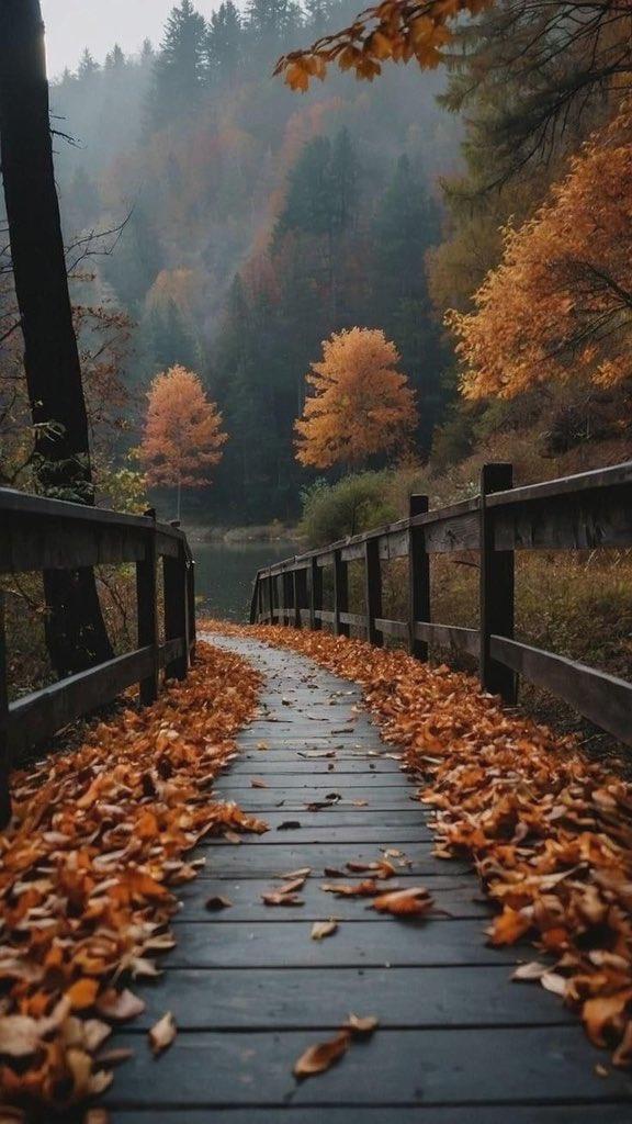 EnidL7583's tweet photo. Keep going.10yybb The version of you that you dream about is waiting.10yybb 🌞 🎈 https://t.co/KF20EGyMJG