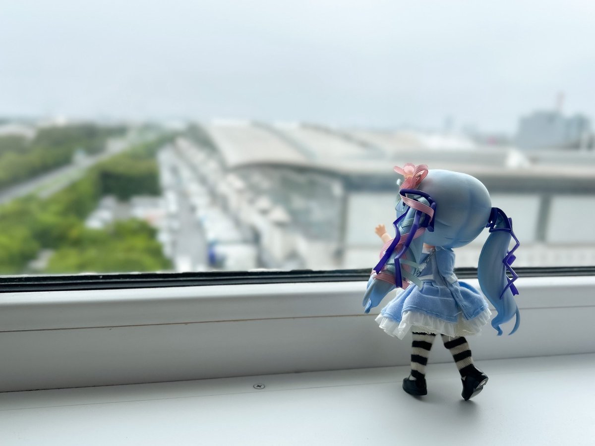 miku3tai's tweet photo. なまらちゃんがカーテン開けてくれたから起きれたよ( https://t.co/U6oCkb4fic
