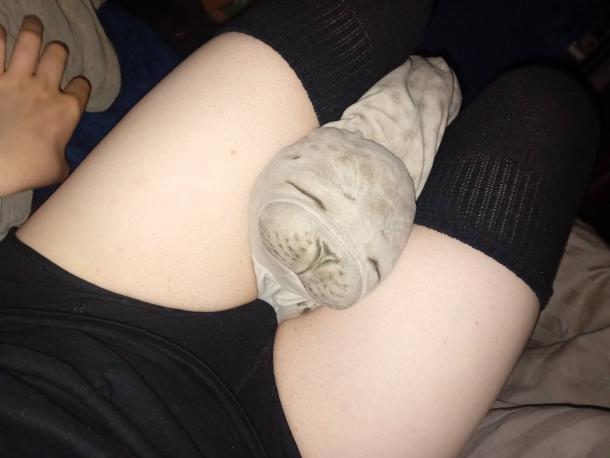 123ORCA_'s tweet photo. Hey everyone sorry again for no posts for a bit im going though a busy time rn lol #femboy #cute #seal #busy https://t.co/hgkjRdau0W