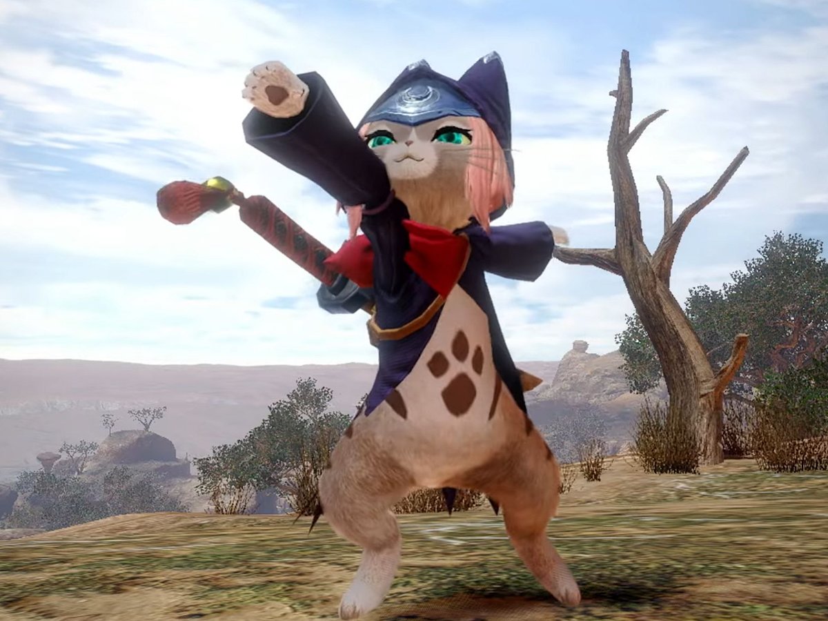 MoonPalico's tweet photo. https://t.co/nko0pmrHFt