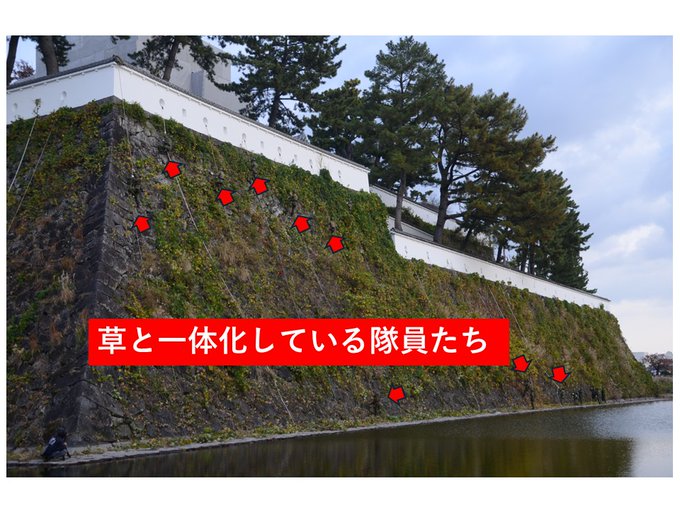 fukuoka_PCO's tweet photo. おはようございます☀️

今日は #草の日　く（９）さ（３）の日 

草と言えば #陸上自衛隊 ですね

お���たせいたしました😁

迷彩服ってこんなにも有効なんです！

#福岡地本 #防衛省 #陸上自衛隊 #かくれんぼ #島原城
（大村駐屯地Xを加工） https://t.co/wTc82uTZtQ