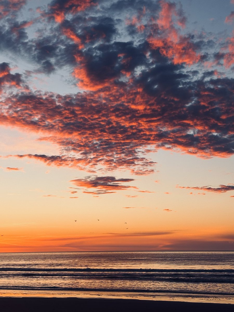 EncinaDelfi's tweet photo. 🌅🌊☀️ https://t.co/U2qKLv3QyT