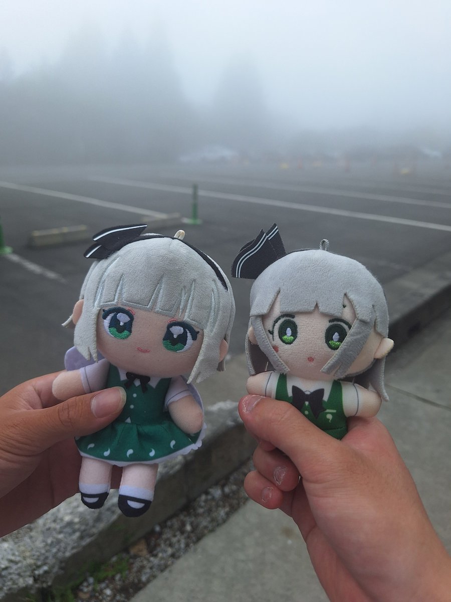 Mofuskenooheya6's tweet photo. 魂魄濃霧 https://t.co/aRZFpYV4PW