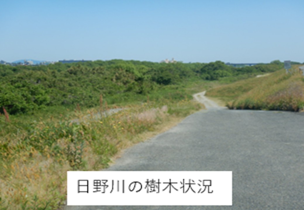 mlit_hinogawa's tweet photo. 日野川・法勝寺川『河川内樹木の採取者』を募集します！
★対象
日野川・法勝寺川の河川内樹木の採取を希望する企業・団体・個人

★募集期限
令和９年１月２８日まで

★採取期間
令和８年８月３日～令和９年２月２８日
＊詳細は日野川河川事務所HPをご確認ください。

https://t.co/dPr9om40Ha https://t.co/NZ4FvWgtzj