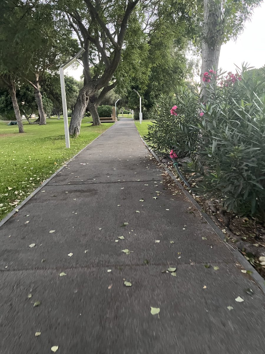 MarcoAlmeidaPT's tweet photo. What do you do when one of your cats wakes you up before 5 on your first day of small holidays? You walk it off.
#DamnCat #Vilamoura #Algarve #HashtagHashtag https://t.co/OBYDqbE347