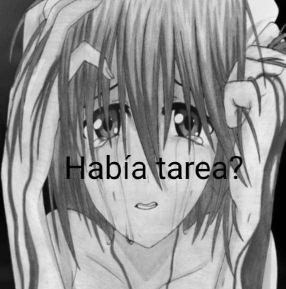 it_kaiiwol's tweet photo. Yo cada lunes,martes,miércoles,jueves y viernes porque me da pereza abrir la carpeta. https://t.co/a6aTYmjL1V