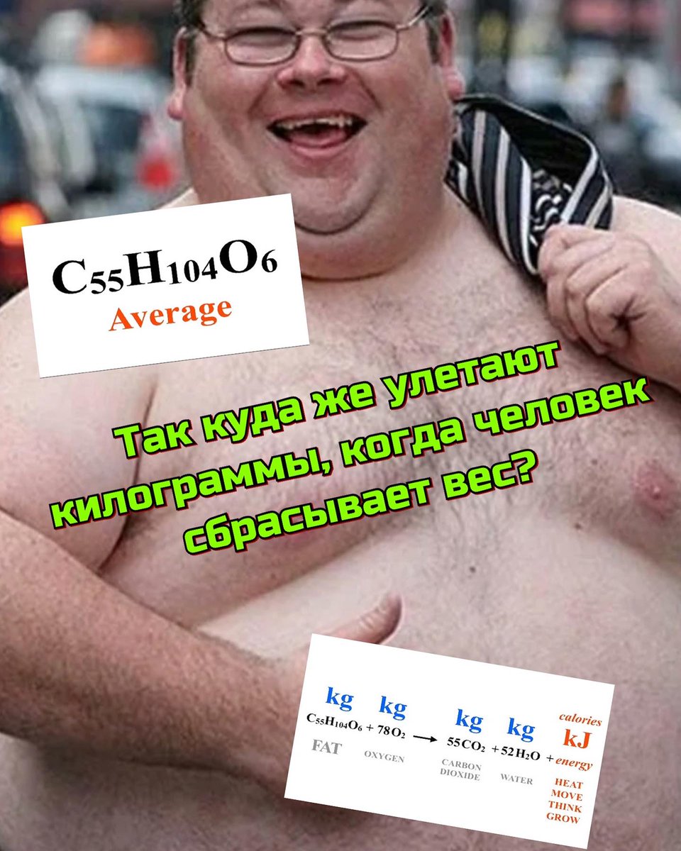 laisbatista11's tweet photo. 減量で脂肪はどこへ行く？体脂肪の84％は二酸化炭素として、16％は尿や汗などの水分として排出されます。10kgの脂肪を失うと、8. 4kgは呼気として、1. 6kgは水として出ます。脂肪を使うには、動いて食べる量を減らすことが大切です。 https://t.co/UZBnozwhH8