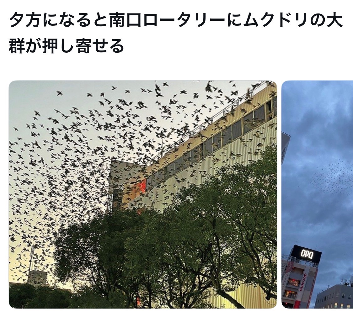 bozu_108's tweet photo. 藤沢駅使ってる人しか分からないこと選手権

最優秀賞、金賞、入賞、入賞 https://t.co/MINtbf22lj