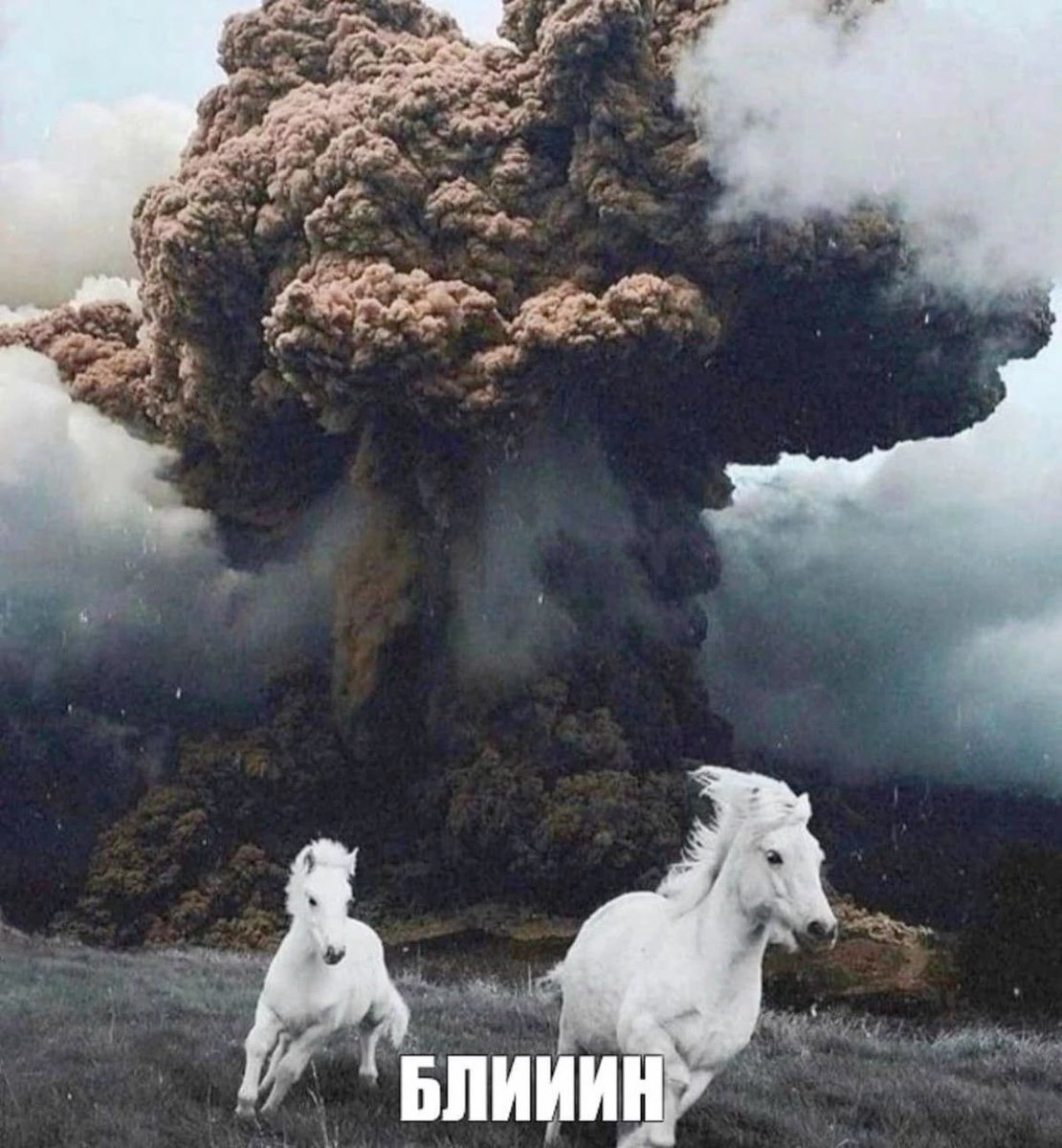 makaevaav's tweet photo. Уже скоро начнутся такие побеги со школы https://t.co/mP1ui7czZQ