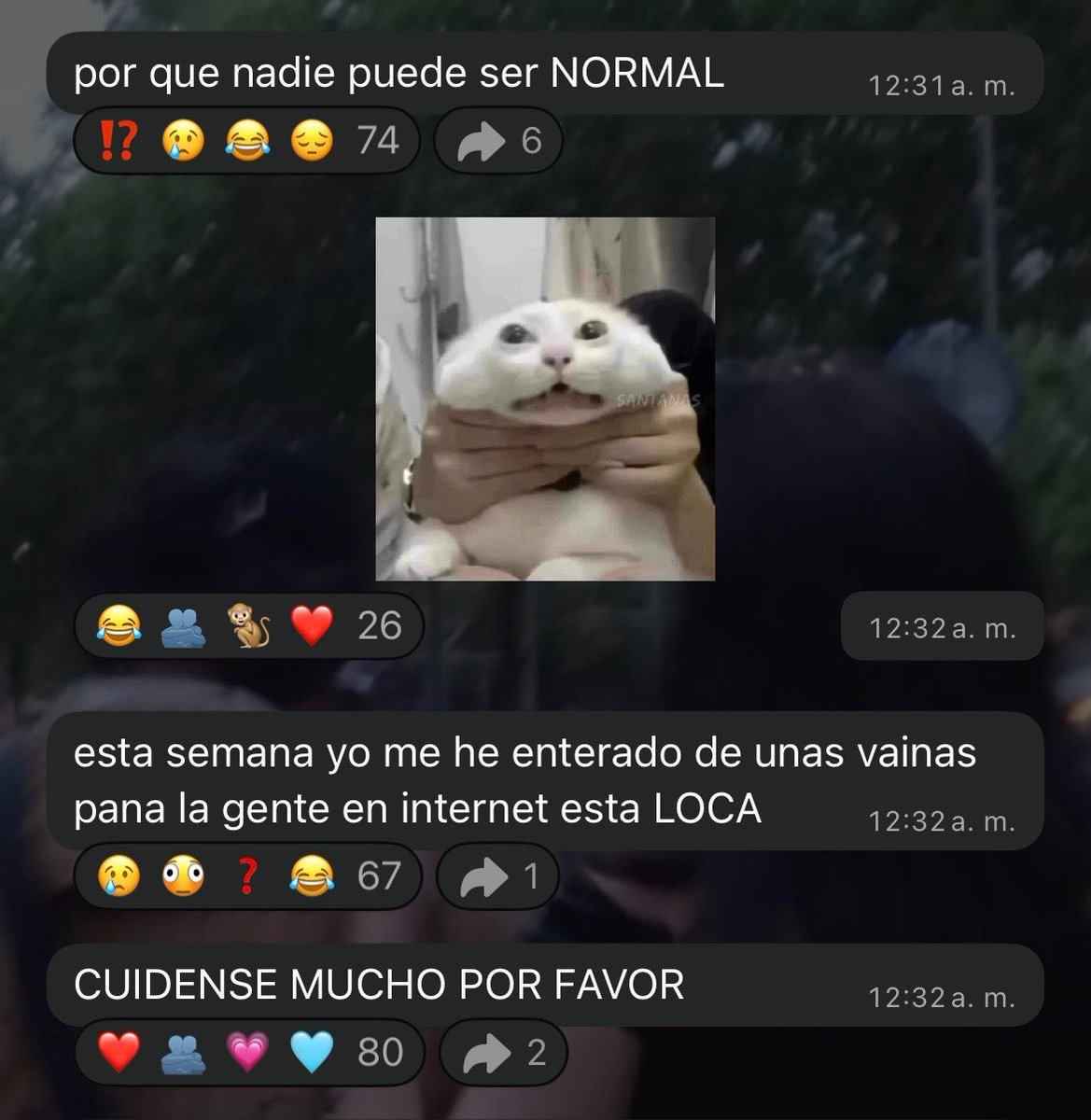 InfoFairlyGab2's tweet photo. 💬 ¡Gab via canal de difusión en WhatsApp! https://t.co/fYAwlSZXF0