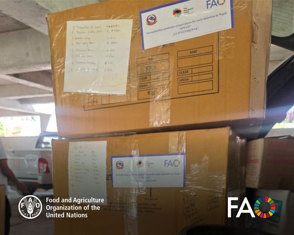 FAONepal's tweet photo. Heavy floodwaters across Nepal have left communities deeply affected and farming families in urgent need. To protect surviving livestock and support recovery, #FAONepal is working with local authorities to deliver emergency feed, veterinary care, & health supplies to hit regions. https://t.co/plh7tGpyms