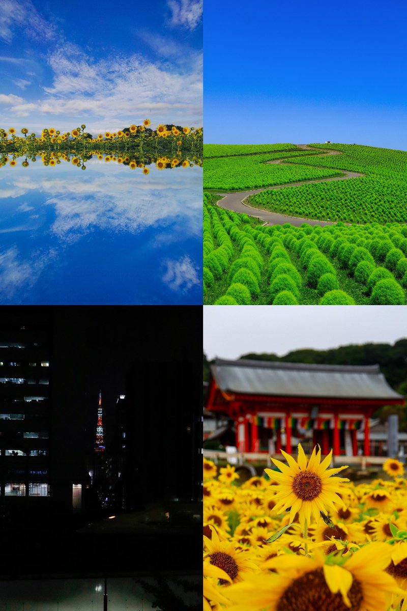 e7express's tweet photo. 今日で夏の季節が終了し初秋を訪れてようとしています🍁

今年も夏の日々を過ごせることができて感激です！

また来年もあつ〜い夏でお会いしましょう〜👋🍉🌊🪭

#8月を写真４枚で振り返る https://t.co/HxymXequeV