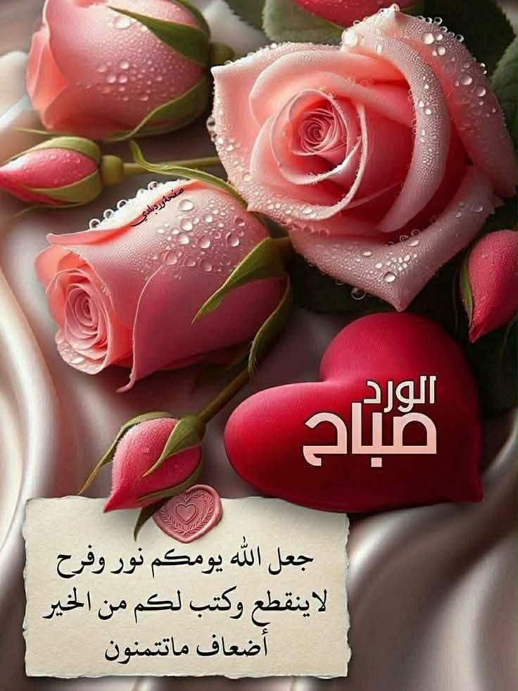 kka_999's tweet photo. #صباح_الاشياء_المشرقه

اللهم إنا نسألك خفايا لطفك
وفواتح توفيقك وعوائد إحسانك وجميل سترك ❤️ https://t.co/ZTribgWCs6