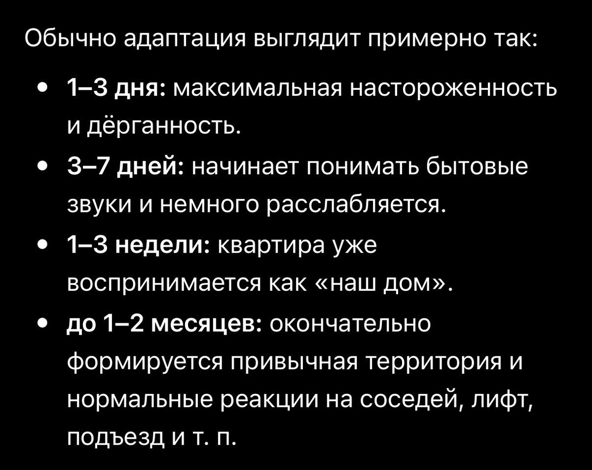 _dev_prg's tweet photo. Вроде адаптация идет по графику, но она все равно на стреме
Прям как я, когда меня родители в новую страну привезли и в новую школу отдали https://t.co/CI7odArTdD