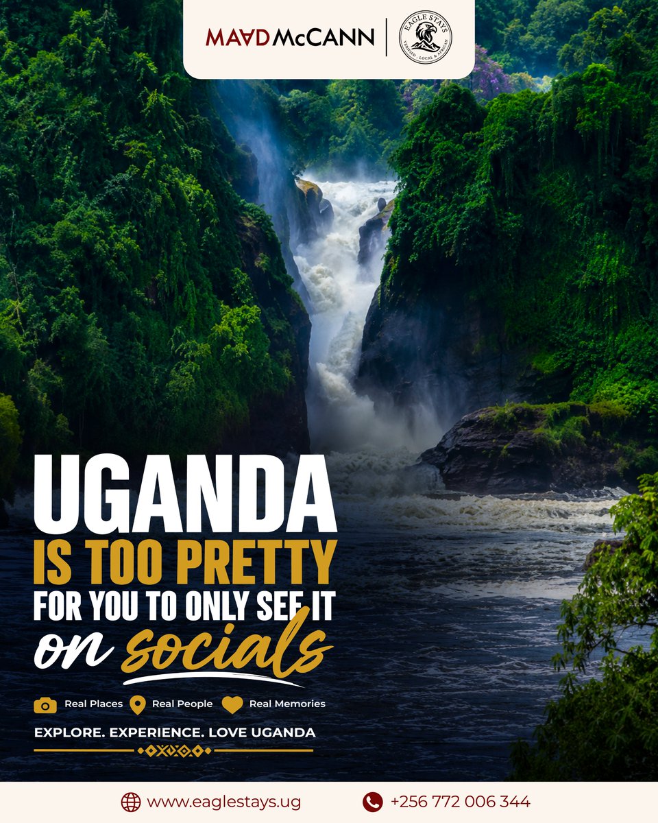 eaglestaysug's tweet photo. It's that time of year again🥳

Murchison Falls, Rwenzori's peaks, or somewhere new entirely, wherever you go, Eagle Stays has your stay and tour package covered.​

 Explore: https://t.co/ug7HhXhKxm​
#MaadEagleStays https://t.co/AIvwdQHecT