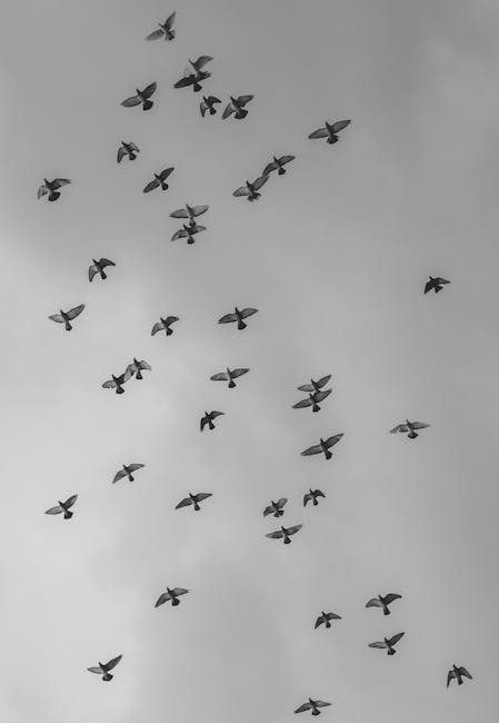 MarquettaMahqs's tweet photo. ذات يوم القلوب يبدأ تتوافق سوف يجدني الحب، حيث تتحدث نفس اللغة، الحب عندما القلوب lore dien https://t.co/EuSUCb2gve